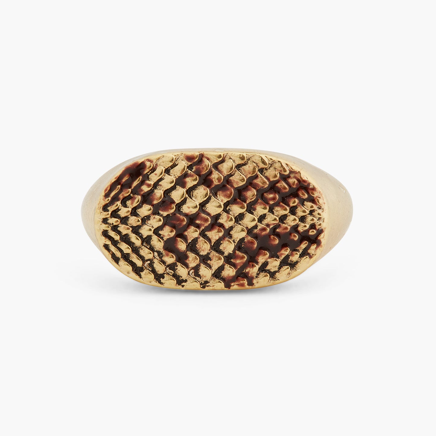 Snakeskin Signet Ring | ASNI6031