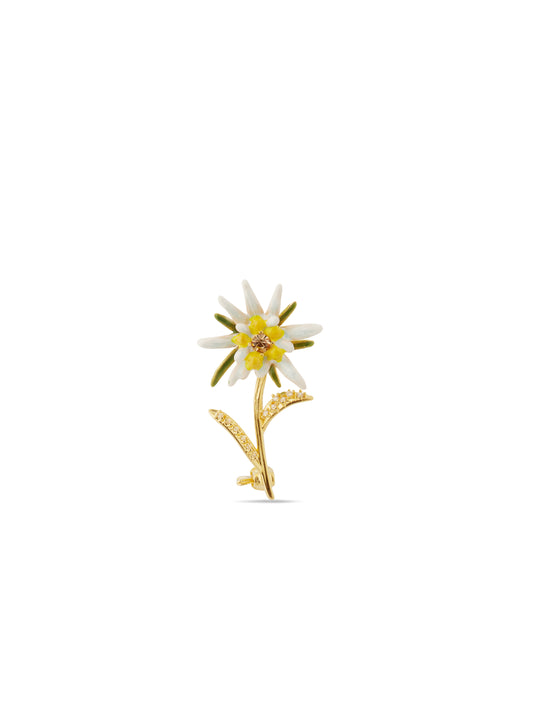 Edelweiss Flower Brooch | AULA5011