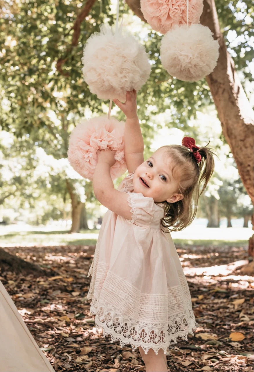 Sugar Plum Baby Lace Dress