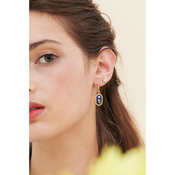 Virgo Zodiac Sign Earrings | ANCS1061