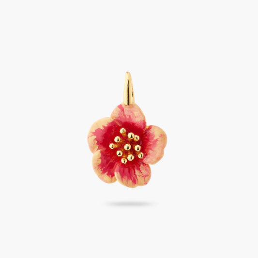 Hibiscus Charm | ATCH4041